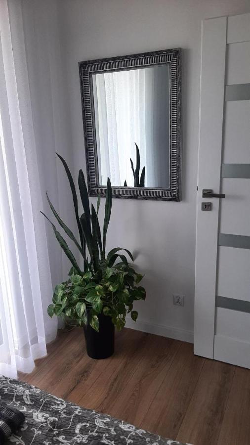 Apartament z widokiem Łańcut Zewnętrze zdjęcie